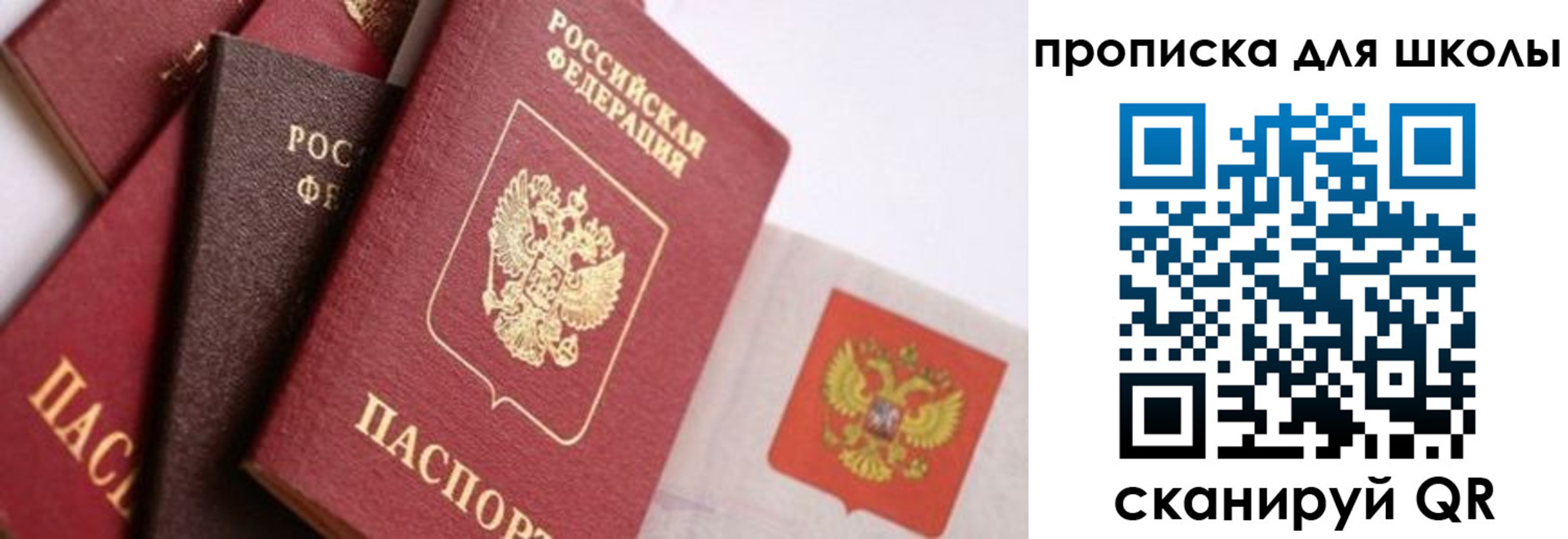 прописка поиск в Белореченске